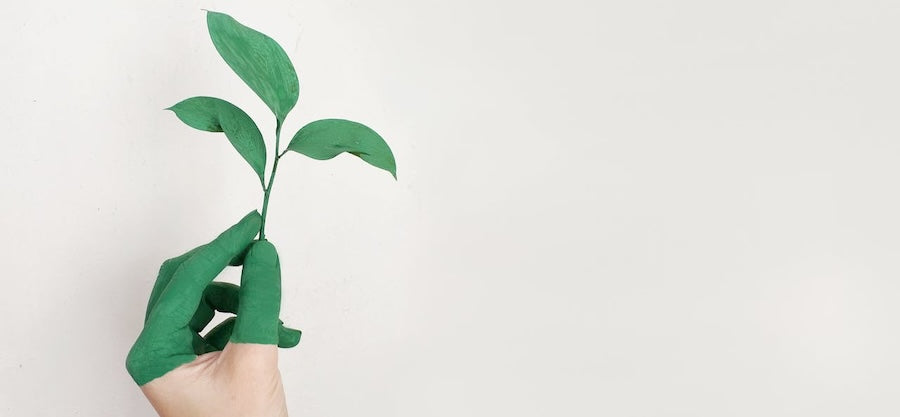 The Eco Impact of Choosing Bamboo Jammers Over Synthetic Pajamas