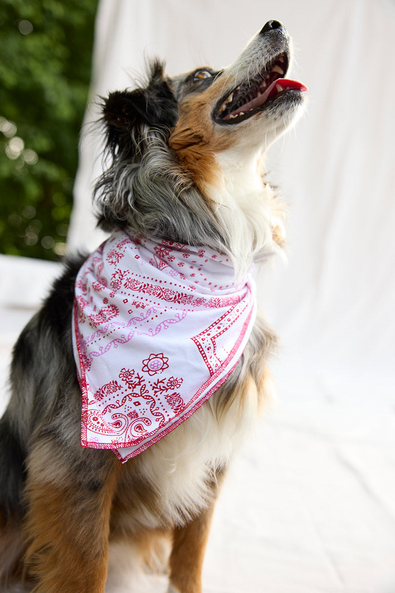 Bandana